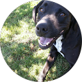 leannora g. Avatar